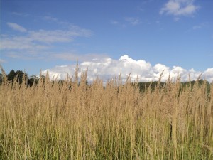 DSC05999