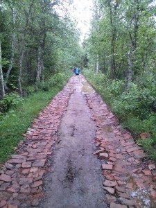 CAM03360